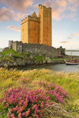 Full Download Heather at Kilcoe Castle Ireland: 150 Page Lined Notebook/Diary -  | PDF