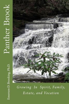 Read Panther Brook: Growing In Spirit, Family, Estate, and Vocation - Emerson Dean Brooking file in PDF