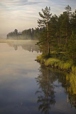 Full Download Morning Mist in Halsingland Sweden Journal: 150 Page Lined Notebook/Diary -  | ePub