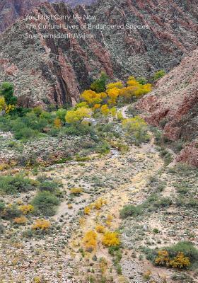 Full Download You Must Carry Me Now: The Cultural Lives of Endangered Species - Bryndis Snaebjornsdottir | ePub
