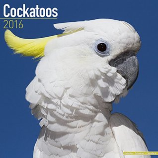 Full Download Cockatoos Calendar - Only Cockatoos Calendar - 2016 Wall calendars - Parrot Calendars - Animal Calendars - Monthly Wall Calendar by Avonside -  | ePub