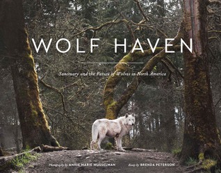 Full Download Wolf Haven: Sanctuary and the Future of Wolves in North America - Brenda Peterson file in PDF