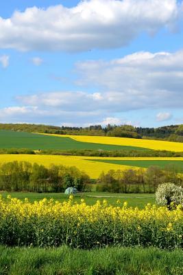 Download Beautiful Yellow Landscape of Rapeseed Flowers Journal: Take Notes, Write Down Memories in This 150 Page Lined Journa -  file in ePub
