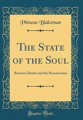 Read The State of the Soul: Between Death and the Resurrection (Classic Reprint) - Phineas Blakeman file in ePub