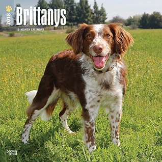 Download Brittanys 2018 12 x 12 Inch Monthly Square Wall Calendar, Animals Dog Breeds (Multilingual Edition) -  file in PDF
