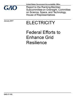 Read Online Electricity: Federal Efforts to Enhance Grid Resilience - U.S. Government Accountability Office file in PDF