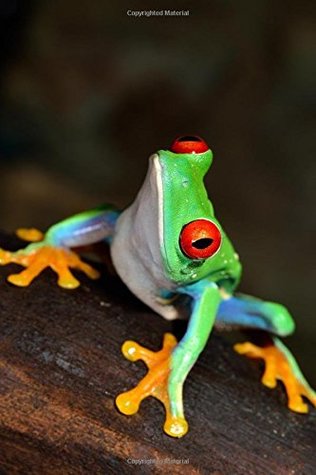 Download Tree Frog Journal Daily: Red Eyed Tree Frog, Daily Journal, Lined Blank 6 x 9 200 Page Notebook -  file in ePub