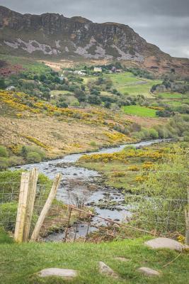 Download Notebear: Beautiful Rural Irish Landscape Journal - Sarah Bardino file in PDF