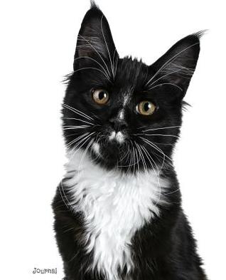 Read Online Journal: Black and White Maine Coon Cat Notebook -  | ePub
