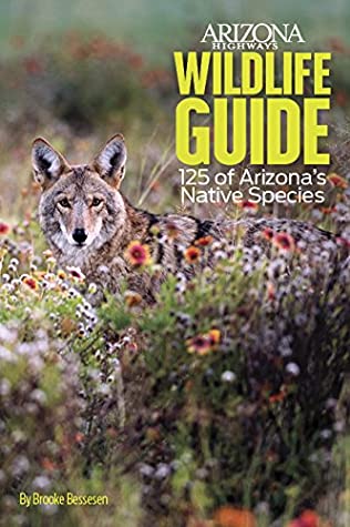Read Online Arizona Highways Wildlife Guide: 125 of Arizona's Native Species - Brooke Bessesen | PDF